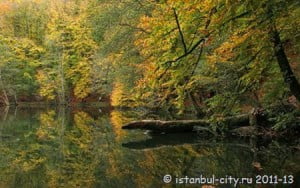 Осенняя Турция: ода природе в Болу