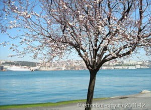 В Стамбул пришла весна