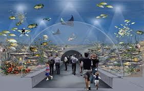В Стамбуле открыли тематический аквариум